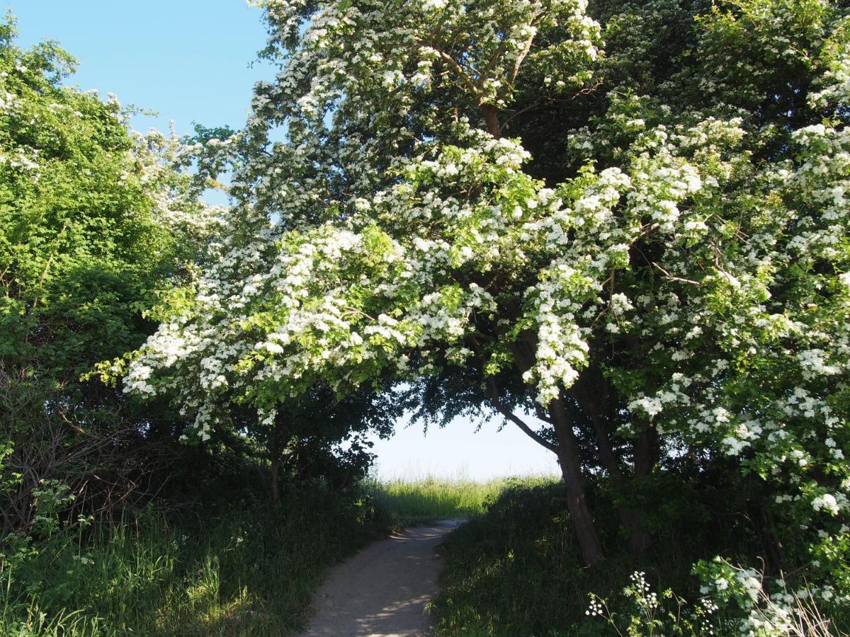 Emilias Hues, Reethaus In Der Bucht Von Wismar 지로우 외부 사진