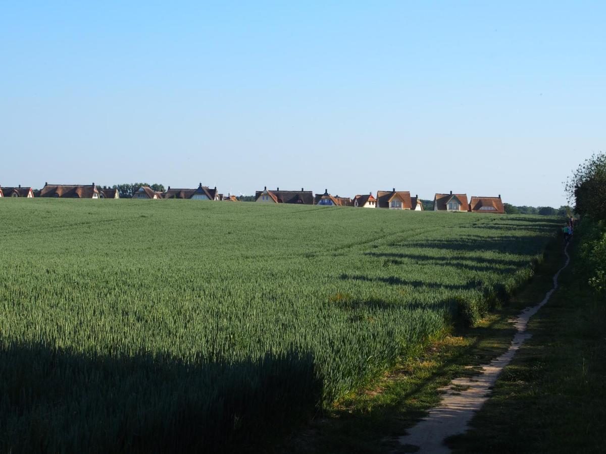 Emilias Hues, Reethaus In Der Bucht Von Wismar 지로우 외부 사진