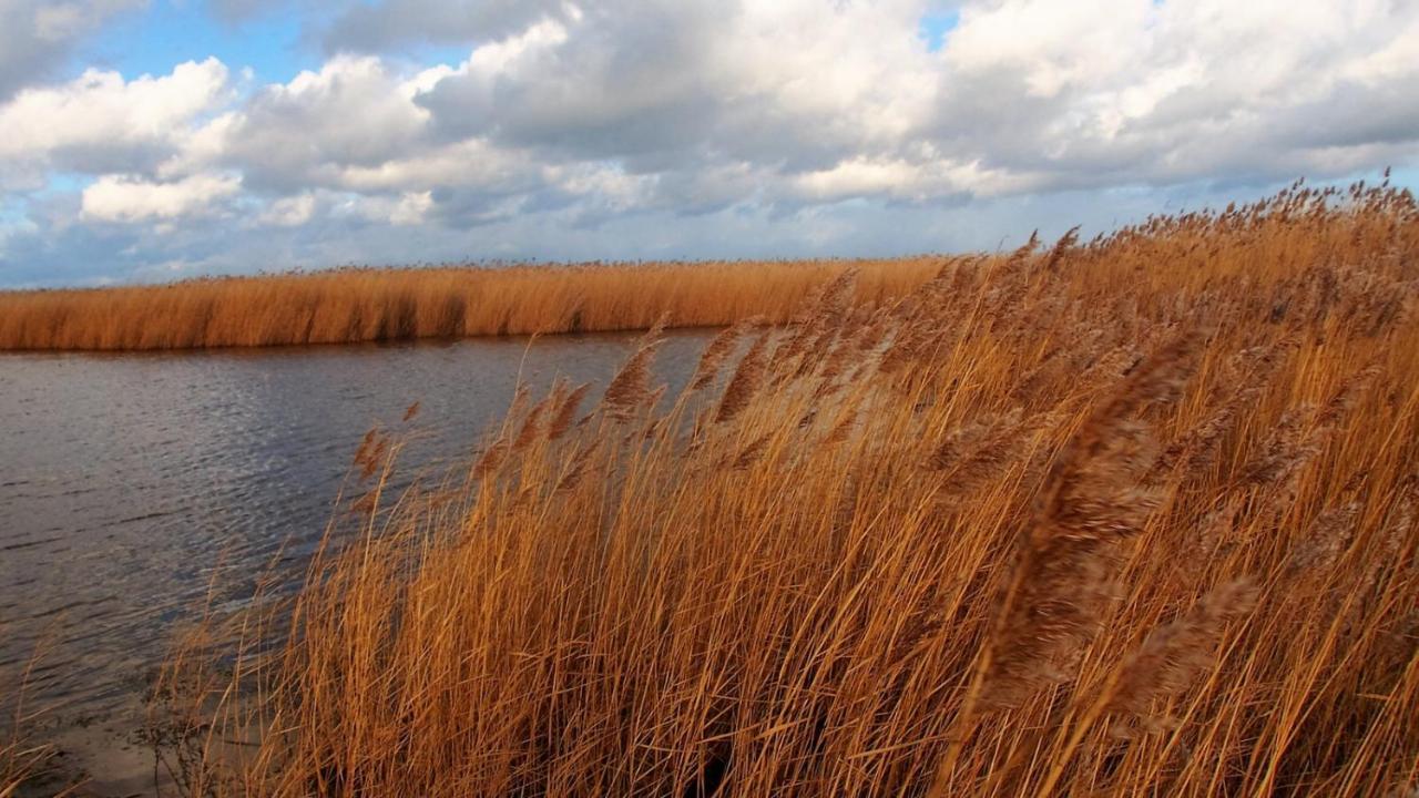 Emilias Hues, Reethaus In Der Bucht Von Wismar 지로우 외부 사진
