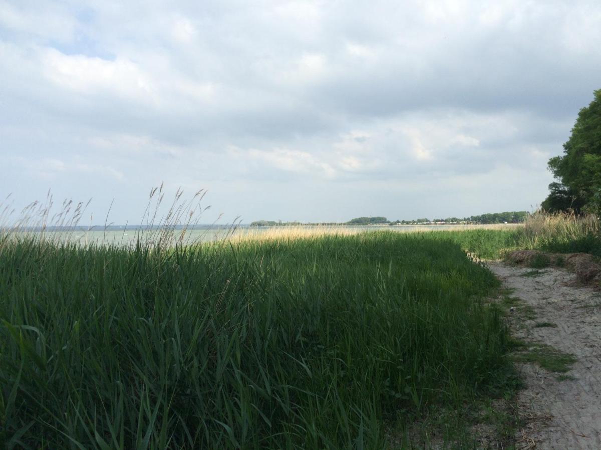 Emilias Hues, Reethaus In Der Bucht Von Wismar 지로우 외부 사진