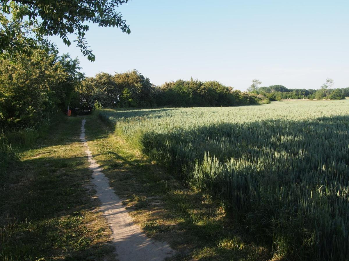 Emilias Hues, Reethaus In Der Bucht Von Wismar 지로우 외부 사진