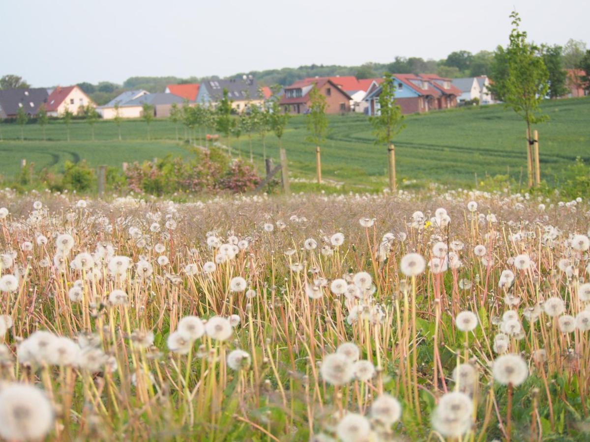 Emilias Hues, Reethaus In Der Bucht Von Wismar 지로우 외부 사진