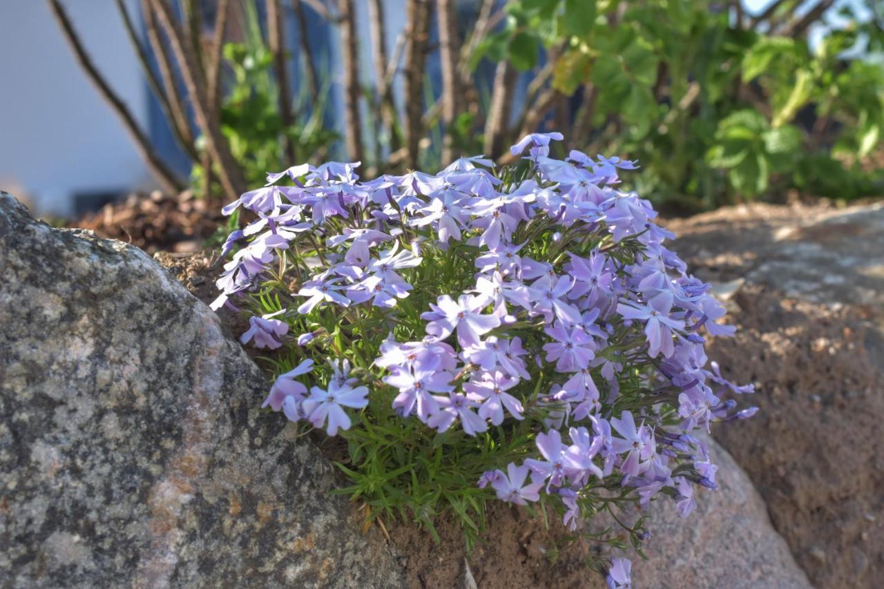 Emilias Hues, Reethaus In Der Bucht Von Wismar 지로우 외부 사진